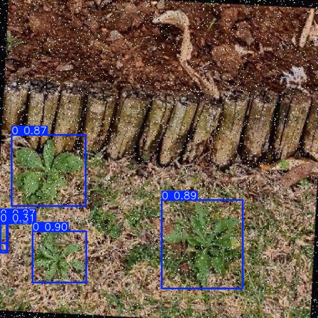 Annotated Image