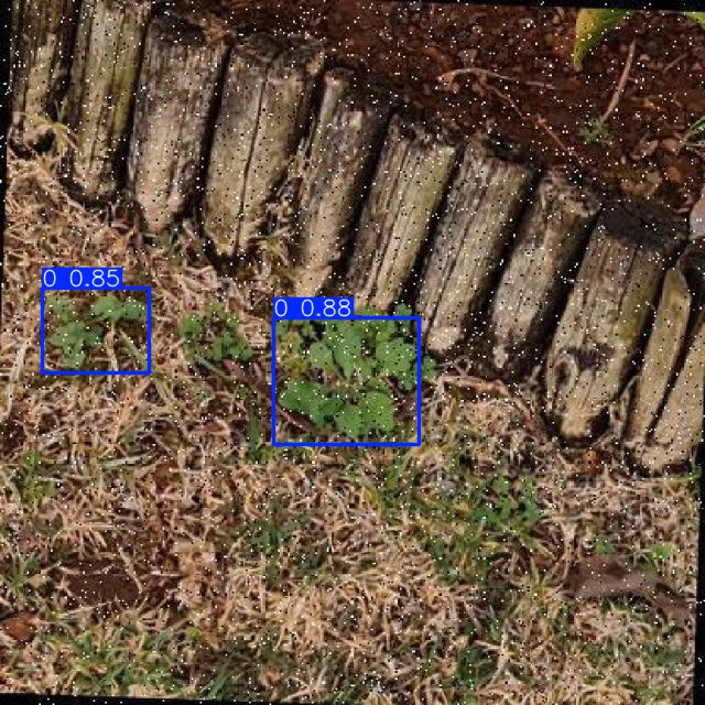 Annotated Image