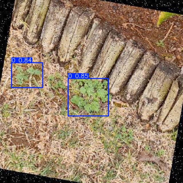 Annotated Image