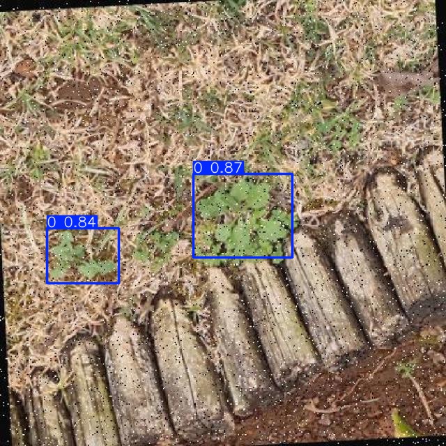 Annotated Image