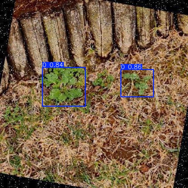 Annotated Image