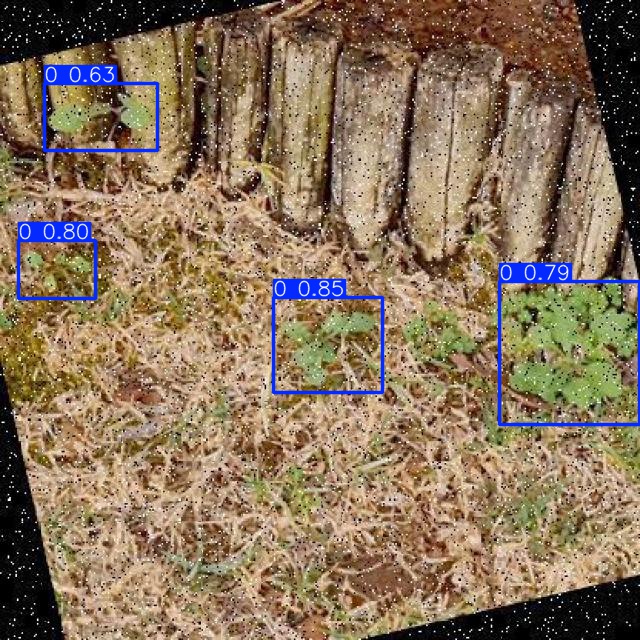 Annotated Image