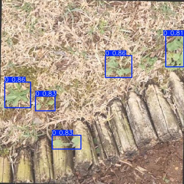 Annotated Image