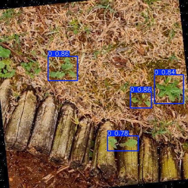 Annotated Image
