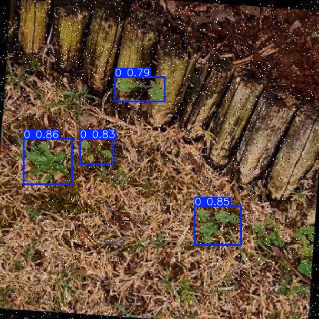Annotated Image