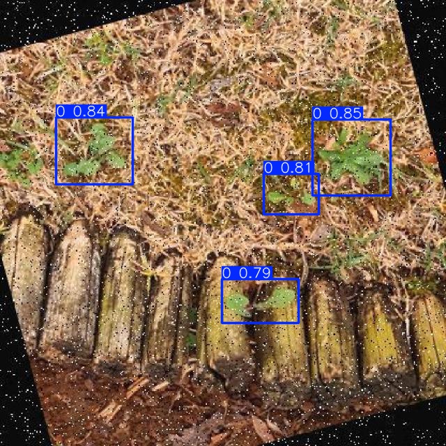 Annotated Image