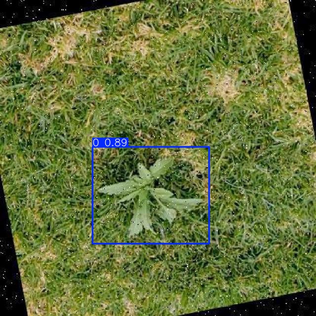 Annotated Image