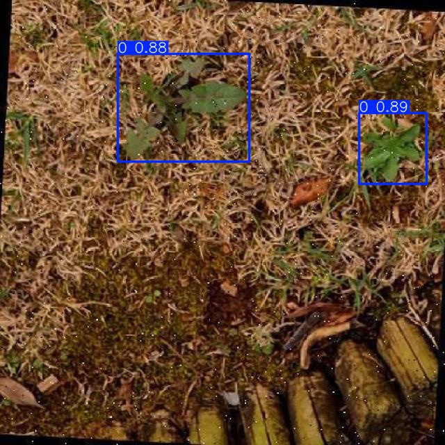 Annotated Image