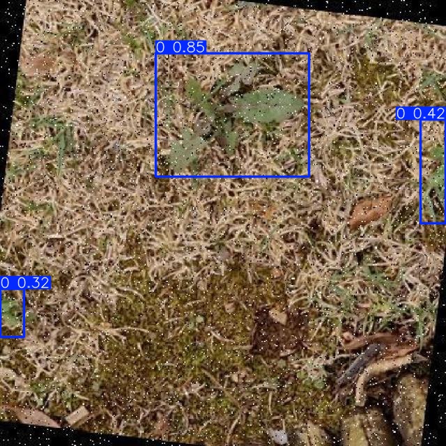 Annotated Image