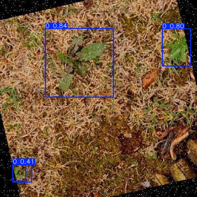 Annotated Image