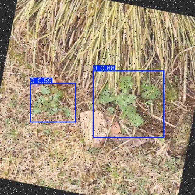 Annotated Image