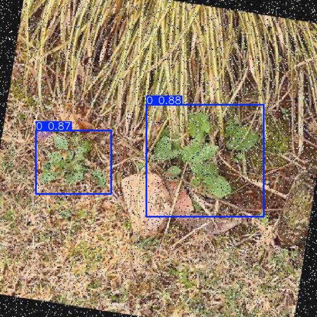 Annotated Image