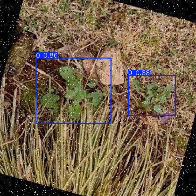 Annotated Image