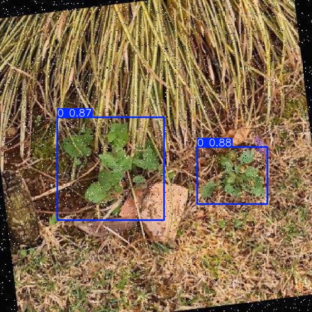 Annotated Image