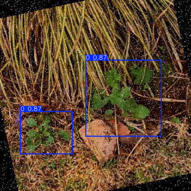 Annotated Image