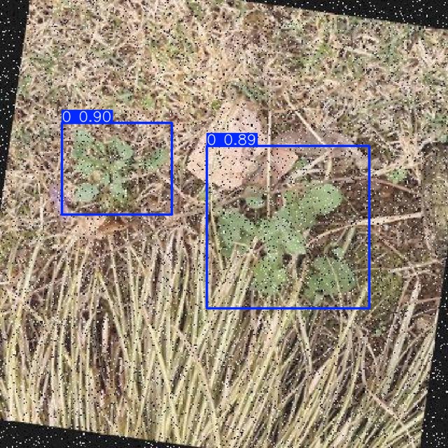 Annotated Image