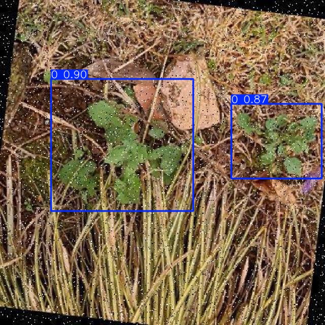 Annotated Image