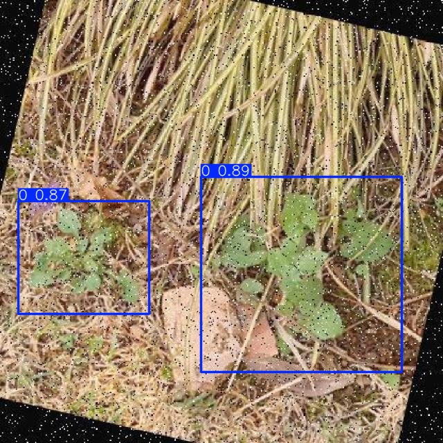 Annotated Image
