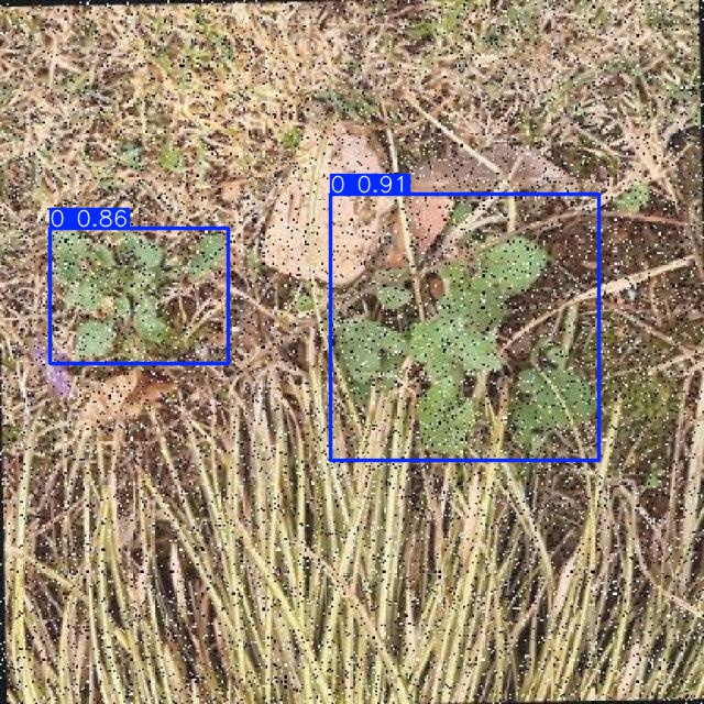 Annotated Image