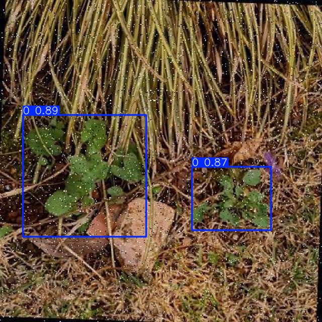 Annotated Image
