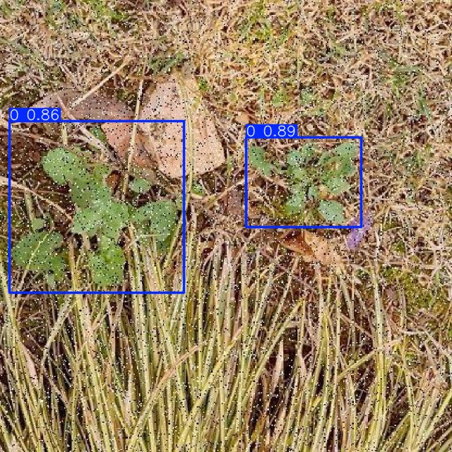 Annotated Image