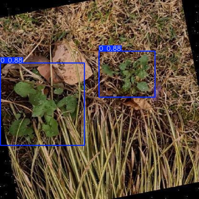 Annotated Image
