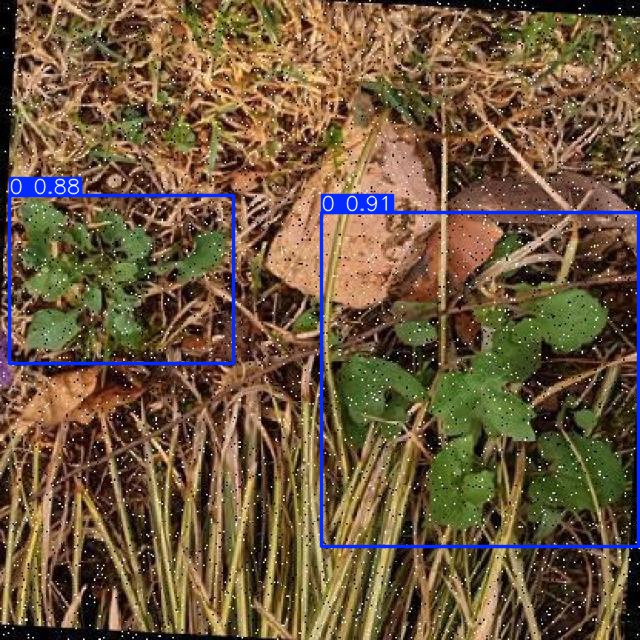 Annotated Image