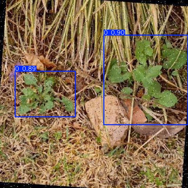 Annotated Image