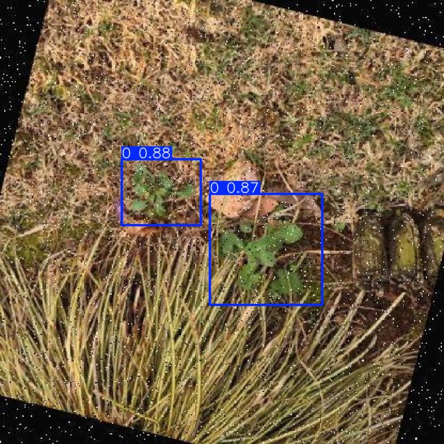 Annotated Image