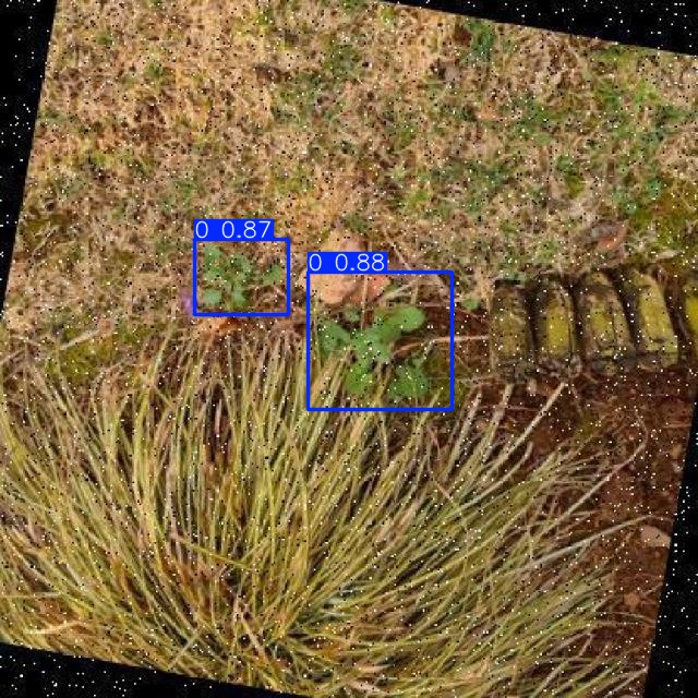 Annotated Image