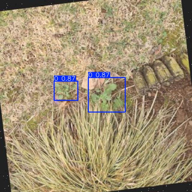 Annotated Image