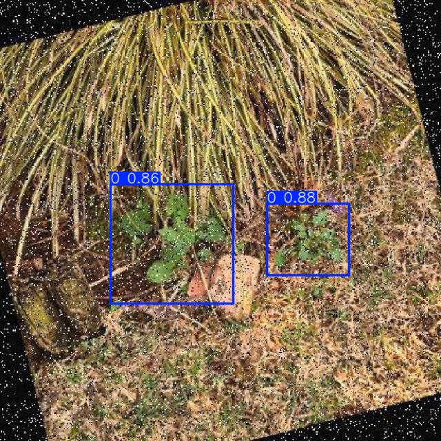 Annotated Image