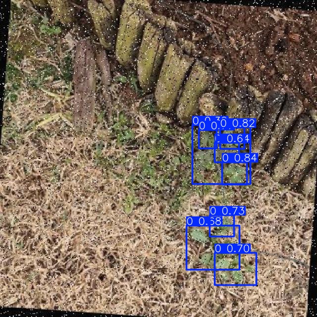 Annotated Image