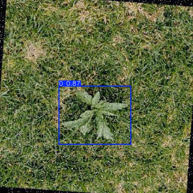 Annotated Image