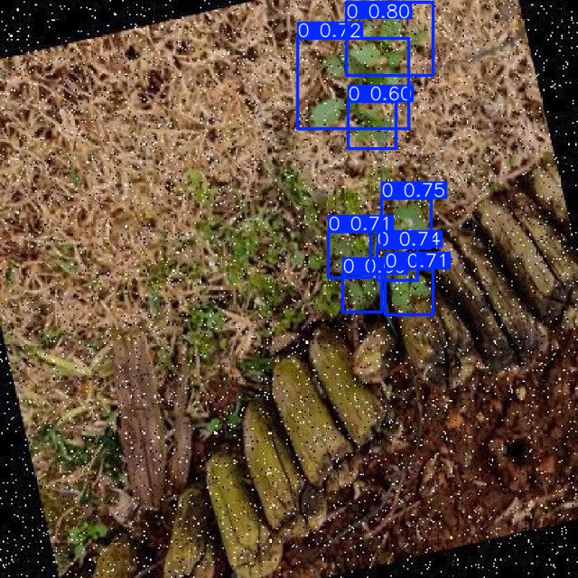 Annotated Image