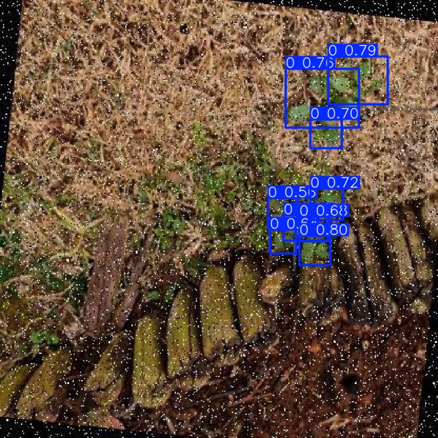 Annotated Image