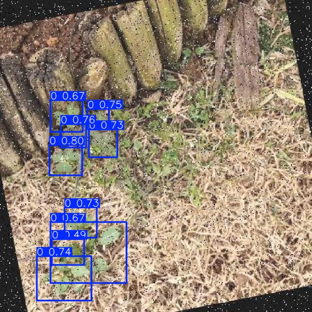 Annotated Image