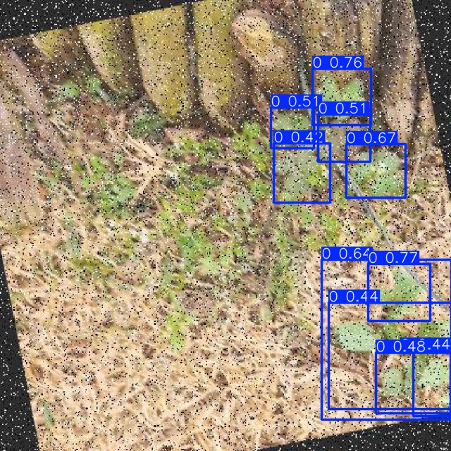 Annotated Image
