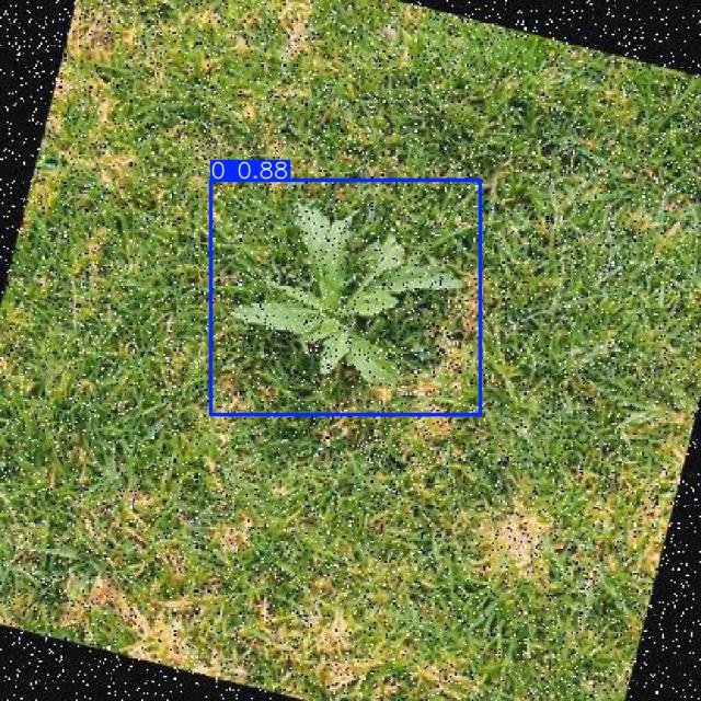 Annotated Image