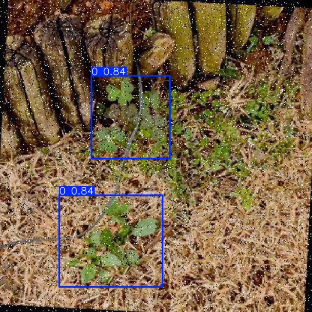 Annotated Image