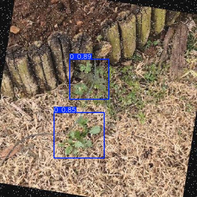 Annotated Image