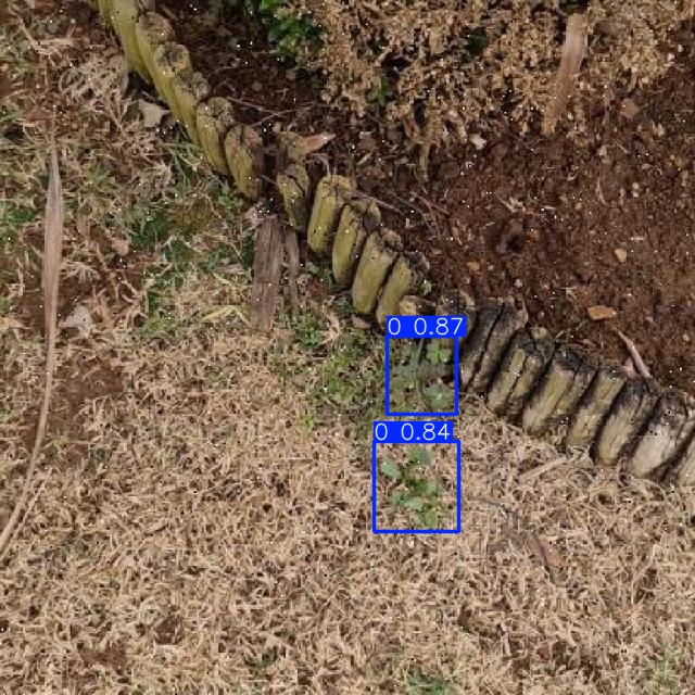 Annotated Image