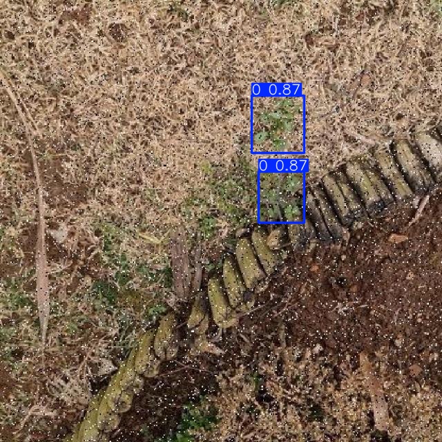 Annotated Image