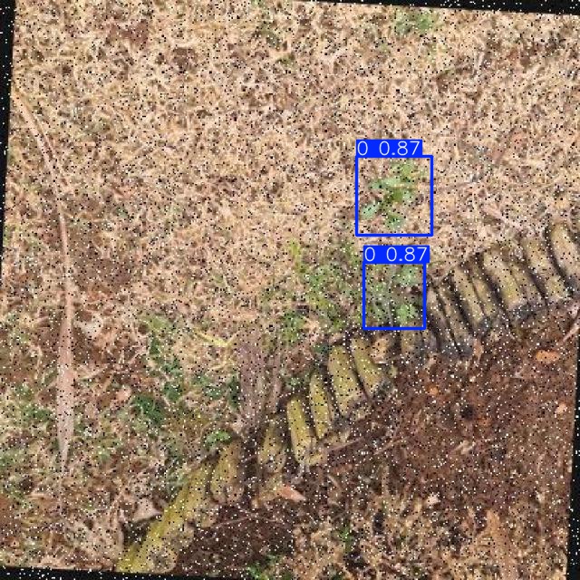 Annotated Image