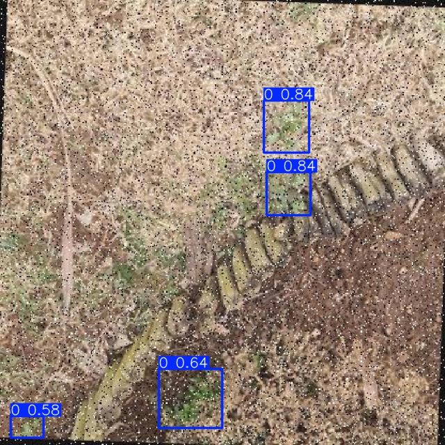 Annotated Image