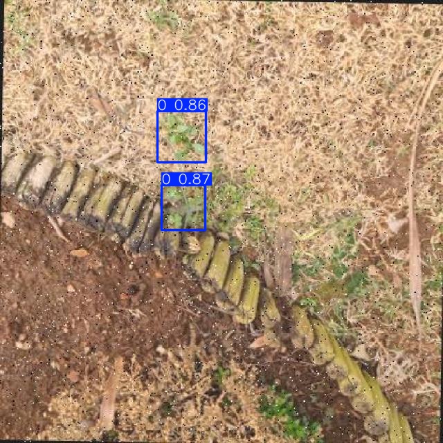 Annotated Image