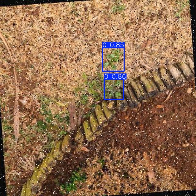 Annotated Image