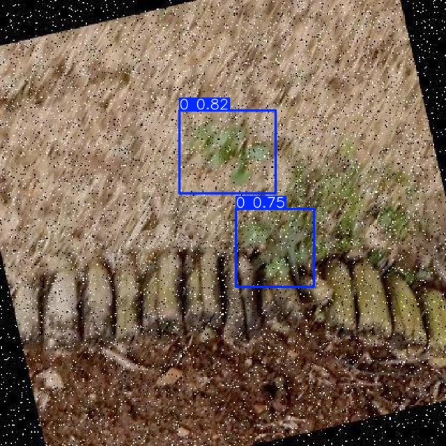 Annotated Image