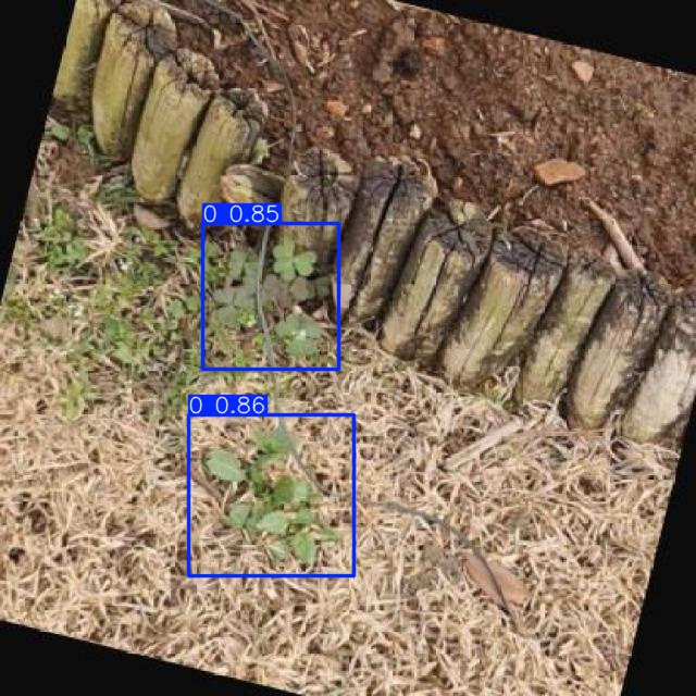Annotated Image