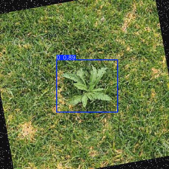 Annotated Image